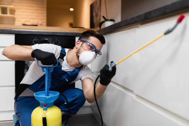 Best Emergency Pest Control  in Colonial Rk, PA
