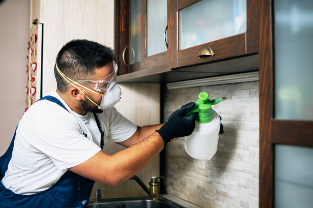 Best Residential Pest Control  in Colonial Rk, PA