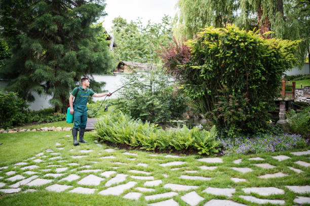 Best Local Pest Control Services  in Colonial Rk, PA